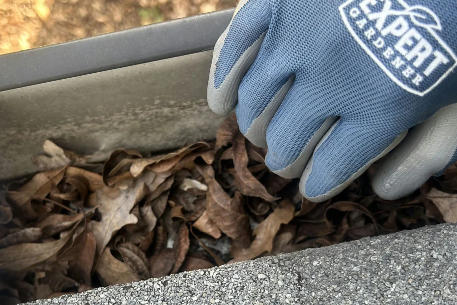 Gutter Cleaning Ohio City